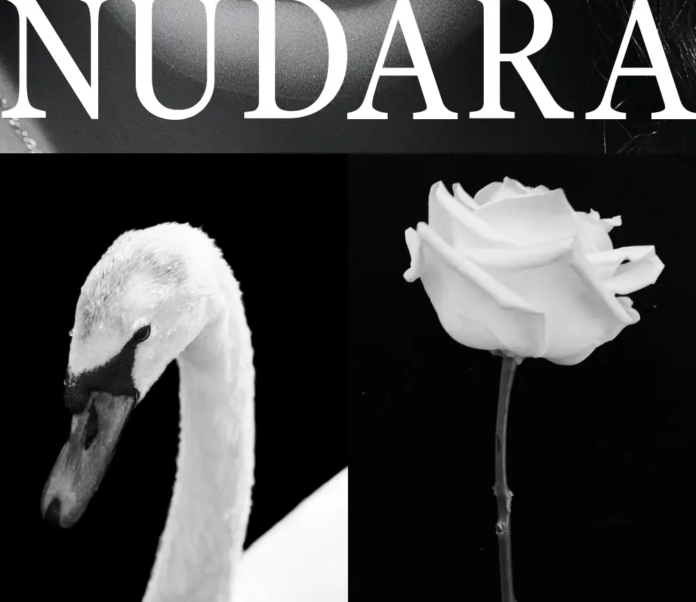 [NEW/로즈&그린향] 누다라 EDP 30ml 블러쉬페탈 상세페이지 8
